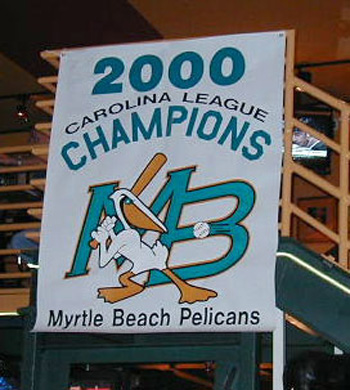 Custom Custom Banner