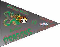 Team Name Soccer Pennant - Custom Team Name Soccer Pennant