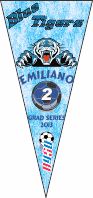 Team Name Soccer Pennant - Custom Team Name Soccer Pennant