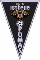 Team Name Soccer Pennant - Custom Team Name Soccer Pennant