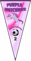 Team Name Soccer Pennant - Custom Team Name Soccer Pennant