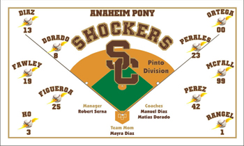 Miscellaneous Team Name Baseball Banner - Custom Miscellaneous Team Name Baseball Banner