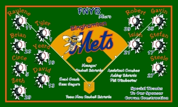 Birmingham Mets Baseball Banner - Custom Birmingham Mets Baseball Banner