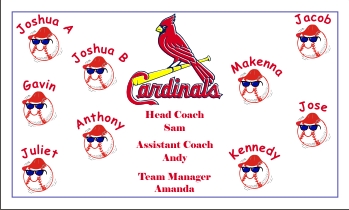 Cardinals Baseball Banner - Custom Cardinals Baseball Banner