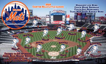 Mets Baseball Banner - Custom Mets Baseball Banner