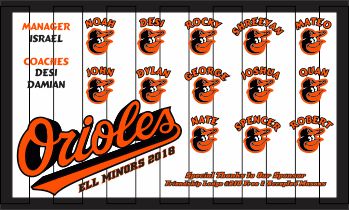 Orioles Baseball Banner - Custom Orioles Baseball Banner