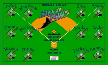 Rays Baseball Banner - Custom Rays Baseball Banner