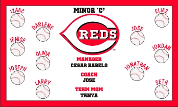Reds Baseball Banner - Custom Reds Baseball Banner