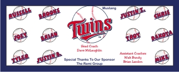 Twins Baseball Banner - Custom Twins Baseball Banner