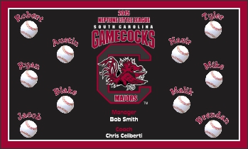 NCAA Baseball Banner - Custom NCAA Baseball Banner