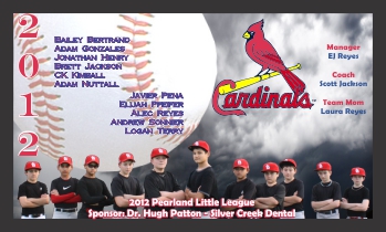 Photo Baseball Banner - Custom Photo Baseball Banner