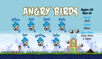 Angry Birds Soccer Banner - Custom Angry Birds Soccer Banner