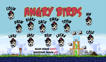 Angry Birds Soccer Banner - Custom Angry Birds Soccer Banner