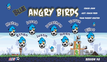 Angry Birds Soccer Banner - Custom Angry BirdsSoccer Banner