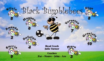 Bees Soccer Banner - Custom BeesSoccer Banner