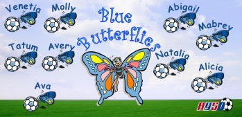 Butterflies Soccer Banner - Custom ButterfliesSoccer Banner