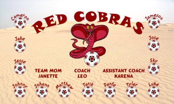 Cobras Soccer Banner - Custom CobrasSoccer Banner