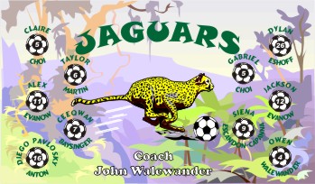 Jaguars Soccer Banner - Custom JaguarsSoccer Banner