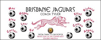 Jaguars Soccer Banner - Custom Jaguars Soccer Banner