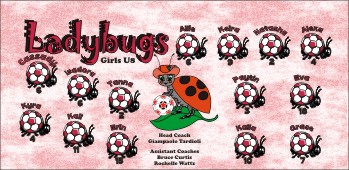 Ladybugs Soccer Banner - Custom Ladybugs Soccer Banner