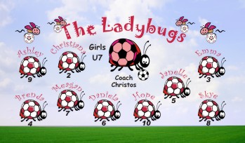 Ladybugs Soccer Banner - Custom Ladybugs Soccer Banner