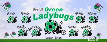 Ladybugs Soccer Banner - Custom LadybugsSoccer Banner