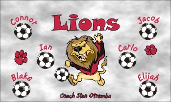 Lions Soccer Banner - Custom LionsSoccer Banner
