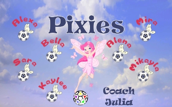 Pixies Soccer Banner - Custom Pixies Soccer Banner