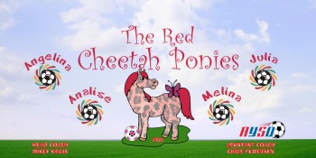 Ponies Soccer Banner - Custom Ponies Soccer Banner