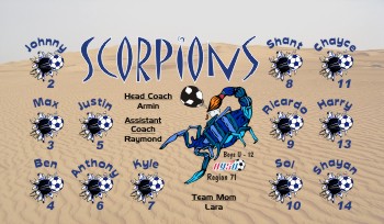 Scorpion Soccer Banner - Custom ScorpionSoccer Banner