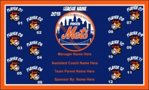 TeamsBanner Rapid Mets Baseball Team Banner Example