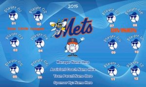 TeamsBanner Rapid Mets Baseball Team Banner Example