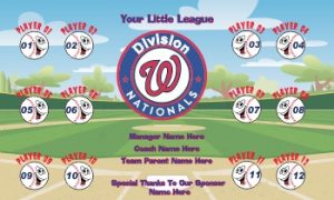 TeamsBanner Rapid Nationals Baseball Team Banner Example