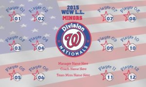 TeamsBanner Rapid Nationals Baseball Team Banner Example