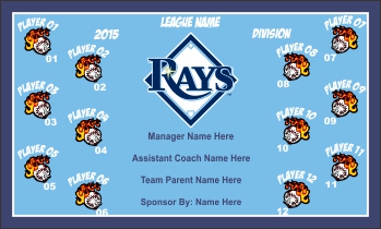 TeamsBanner Rapid Rays Baseball Team Banner Example