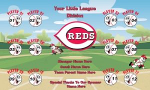 TeamsBanner Rapid Reds Baseball Team Banner Example