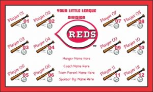 TeamsBanner Rapid Reds Baseball Team Banner Example