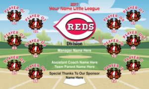 TeamsBanner Rapid Reds Baseball Team Banner Example