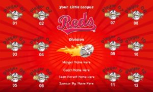 TeamsBanner Rapid Reds Baseball Team Banner Example