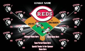 TeamsBanner Rapid Reds Baseball Team Banner Example