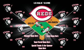 TeamsBanner Rapid Reds Baseball Team Banner Example
