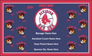TeamsBanner Rapid Red Sox Baseball Team Banner Example