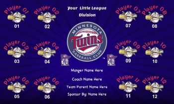 TeamsBanner Rapid Twins Baseball Team Banner Example