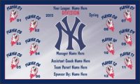 TeamsBanner Rapid Yankees Baseball Team Banner Example