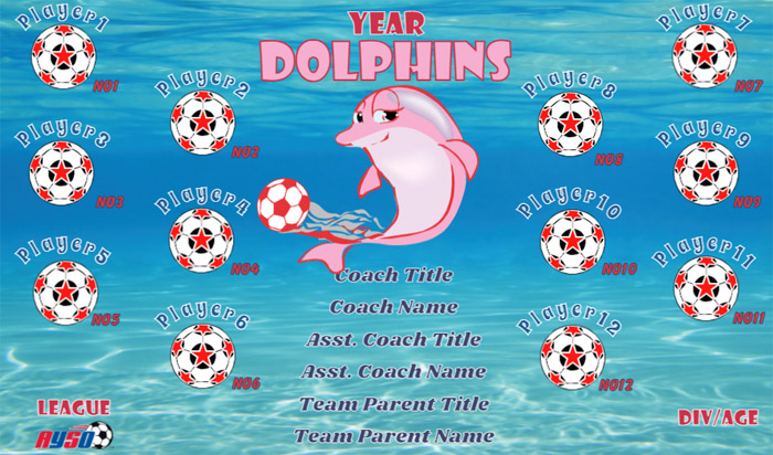 Dolphins Soccer Team Banner Design Your Own 02