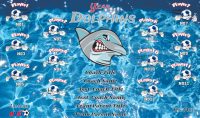 Dolphins SOCCER TEAM BANNER Design Your own Dolphins Banner Design