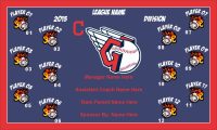 TeamsBanner Rapid Guardians Baseball Team Banner Example