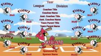 Cardinals Baseball Banner Design Your Own Team Baseball Banner , MLB Banners, St. Louis Cardinals