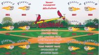 Cardinals Baseball Banner Design Your Own Team Baseball Banner , MLB Banners, St. Louis Cardinals
