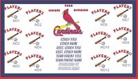 Cardinals Baseball Banner Design Your Own Team Baseball Banner , MLB Banners, St. Louis Cardinals
